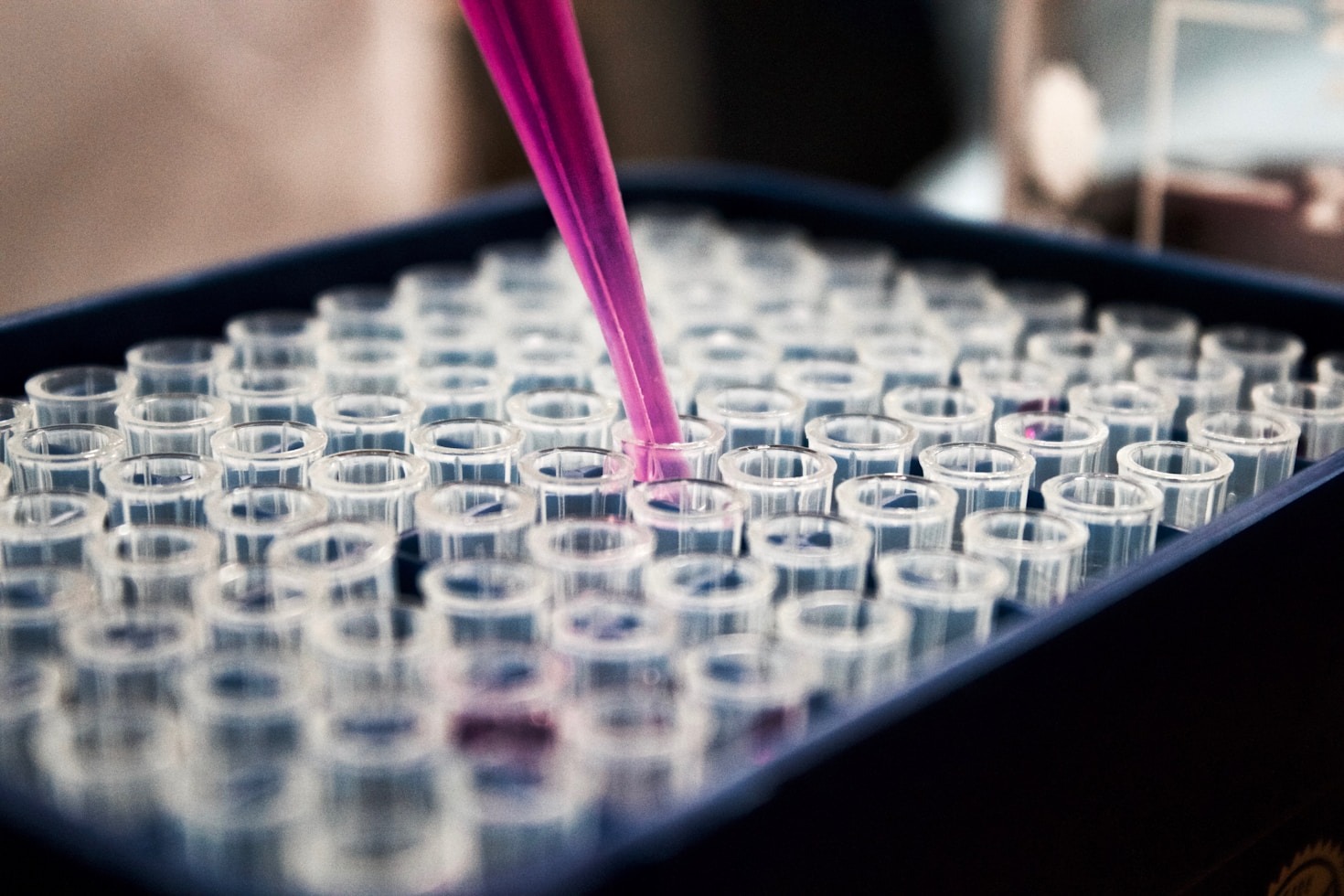 How to Build a Personalized Health Optimization Plan